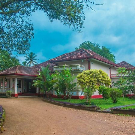 Randiyaepiliyagoda Resort أفيساويلا المظهر الخارجي الصورة