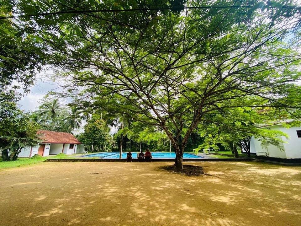 Randiyaepiliyagoda Resort أفيساويلا المظهر الخارجي الصورة