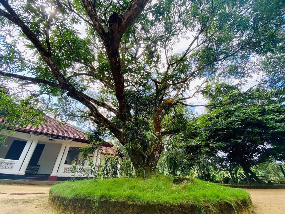 Randiyaepiliyagoda Resort أفيساويلا المظهر الخارجي الصورة