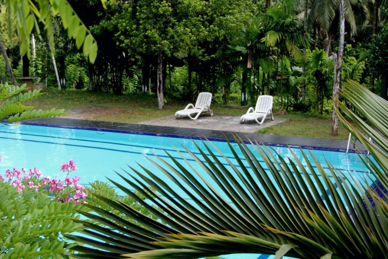 Randiyaepiliyagoda Resort أفيساويلا المظهر الخارجي الصورة